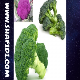 SBJEI-FRESH BROCCOLI